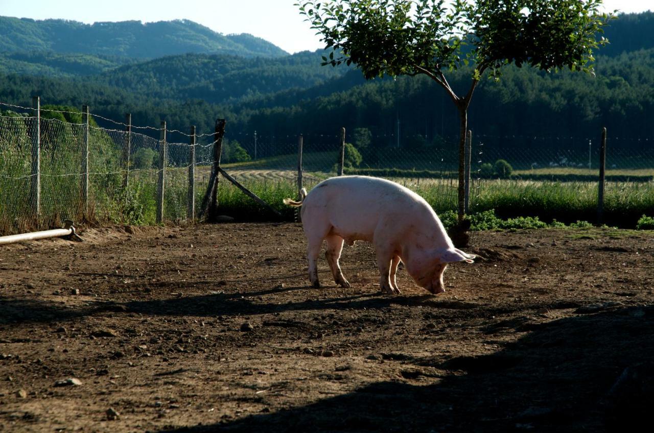 Agriturismo Fiorella Camigliatello Silano Εξωτερικό φωτογραφία