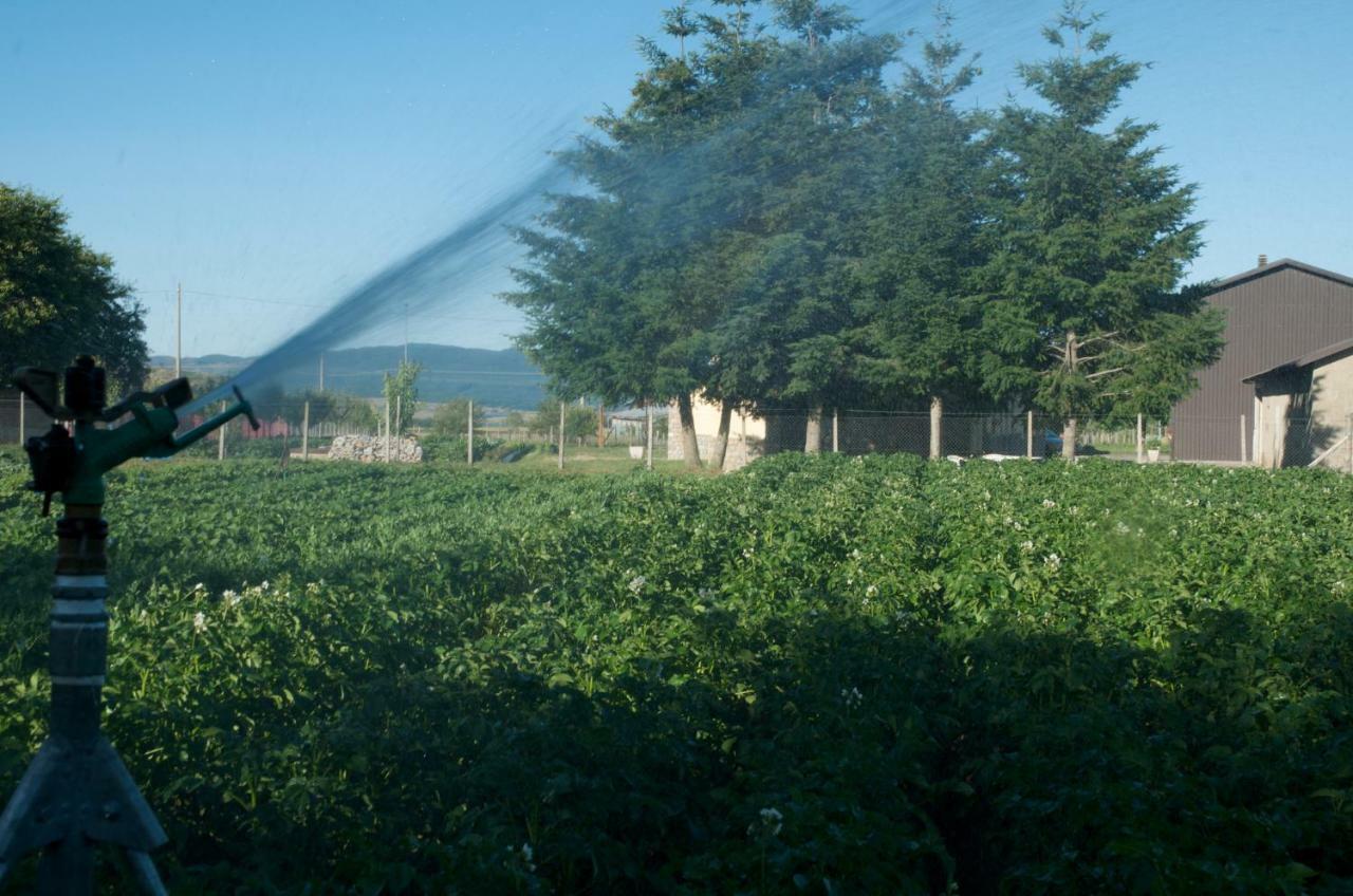 Agriturismo Fiorella Camigliatello Silano Εξωτερικό φωτογραφία