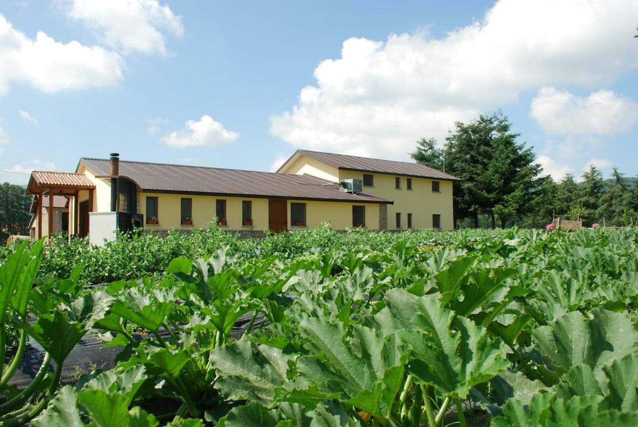 Agriturismo Fiorella Camigliatello Silano Εξωτερικό φωτογραφία