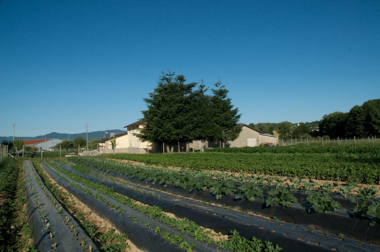 Agriturismo Fiorella Camigliatello Silano Εξωτερικό φωτογραφία