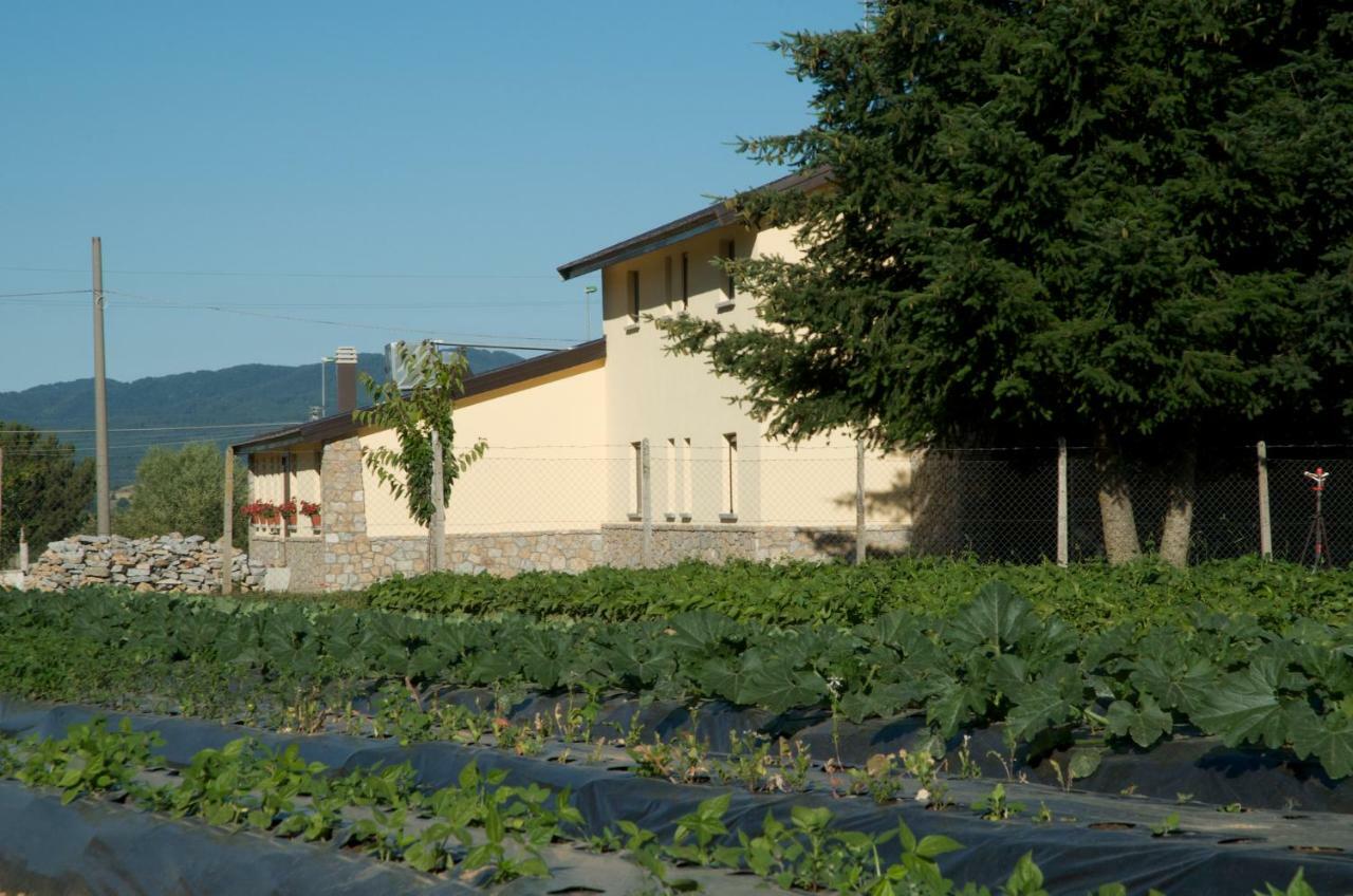 Agriturismo Fiorella Camigliatello Silano Εξωτερικό φωτογραφία