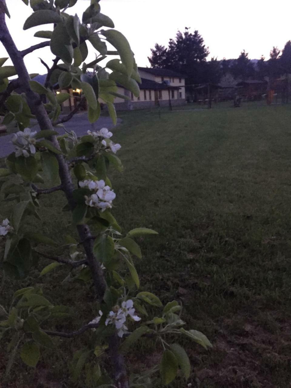 Agriturismo Fiorella Camigliatello Silano Εξωτερικό φωτογραφία