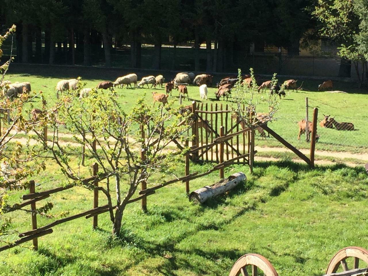 Agriturismo Fiorella Camigliatello Silano Εξωτερικό φωτογραφία