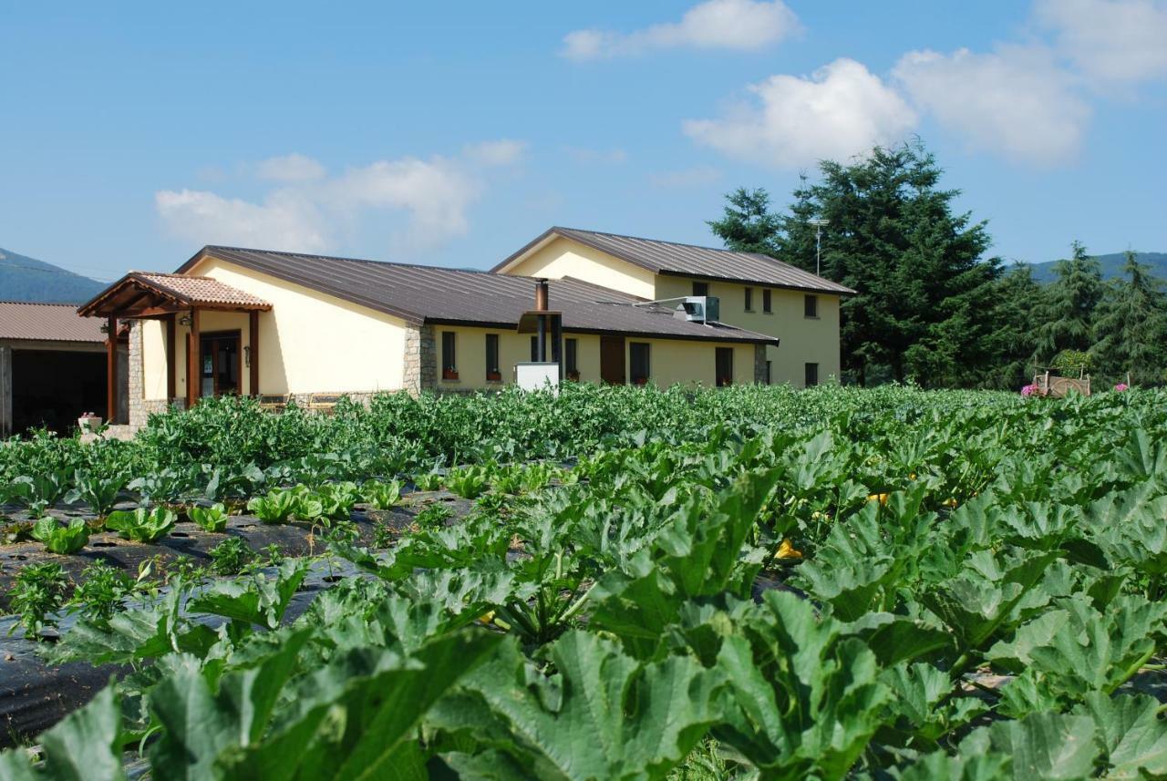 Agriturismo Fiorella Camigliatello Silano Εξωτερικό φωτογραφία